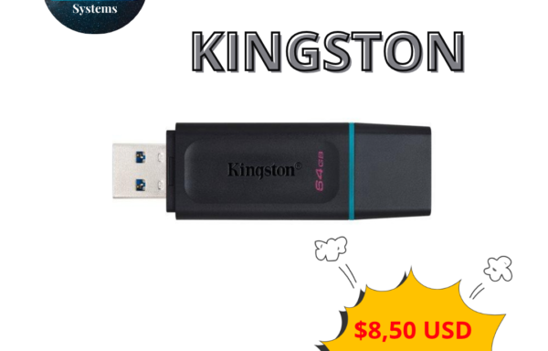 Flash Memory 64GB Kingston